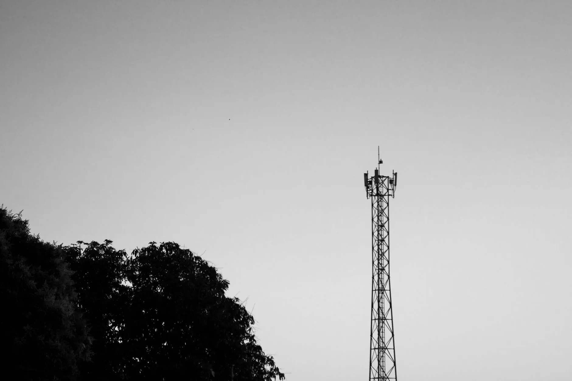 2025年家用电器行业能效标准新规解读与应对策略